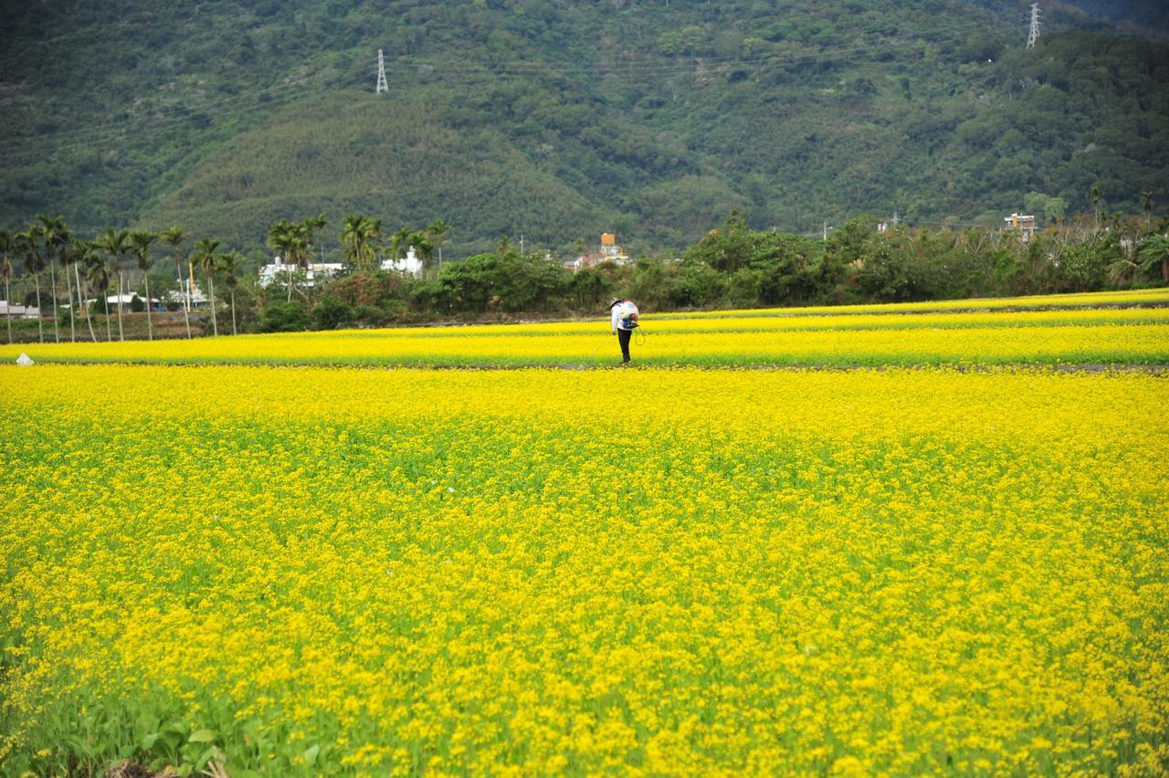 Guanshan Fukuda Homestay Exteriör bild